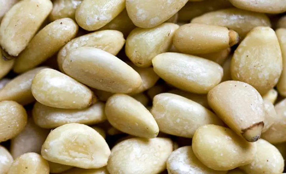 “ Top” những thực phẩm giàu vitamin E “ Top” những thực phẩm giàu vitamin E