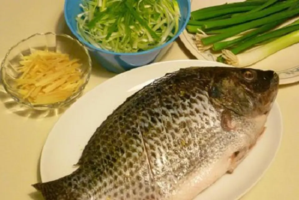 Các cách làm món ngon đơn giản từ cá rô phi