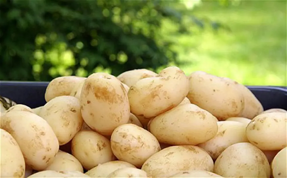 Các tác dụng của nước ép khoai tây với con người