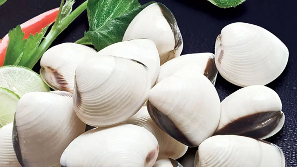 Cách làm ngao sốt dầu hào thơm nức mũi
