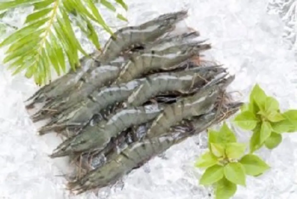 Cách làm salad trái bơ giúp giảm cân