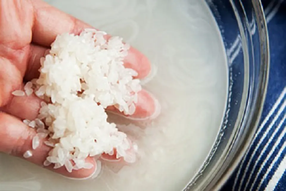 Cách nấu cháo cá chép thơm ngon không bị tanh