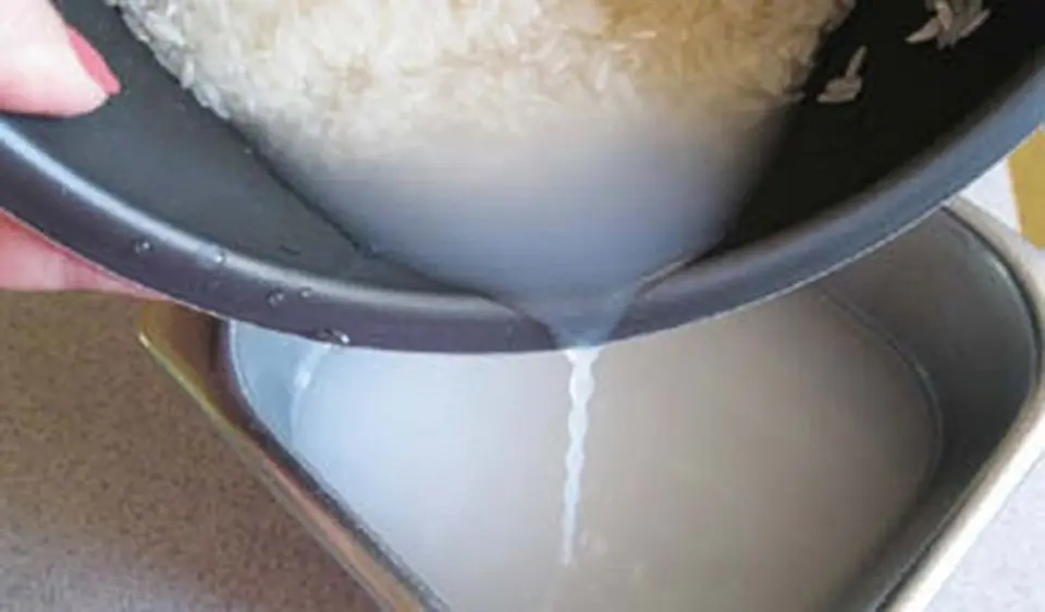 Khám phá những mẹo hay với nước vo gạo