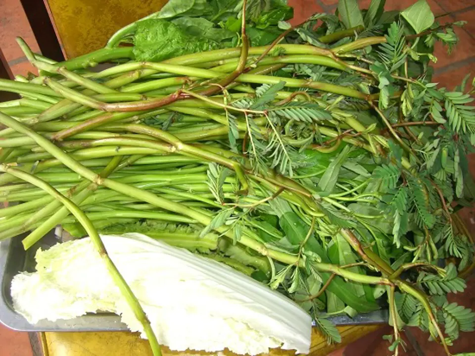 Cách làm canh sườn nấu sấu chua chua ngọt mát
