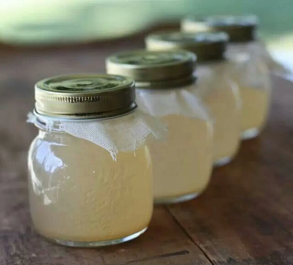 Cách làm dấm táo mèo giảm cân, làm đẹp