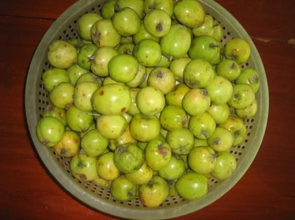 Cách làm dấm táo mèo giảm cân, làm đẹp