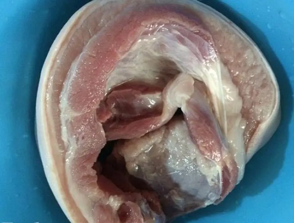 Cách làm thịt ba chỉ áp chảo thơm ngon ngày lạnh