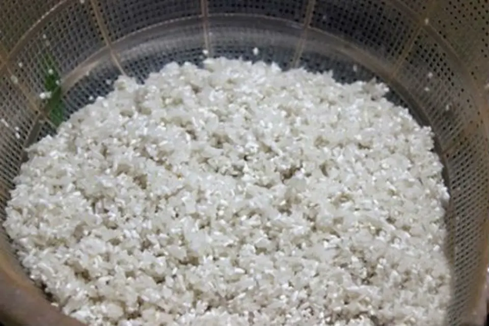 Tự nấu cháo trai thơm ngon bổ dưỡng tại nhà