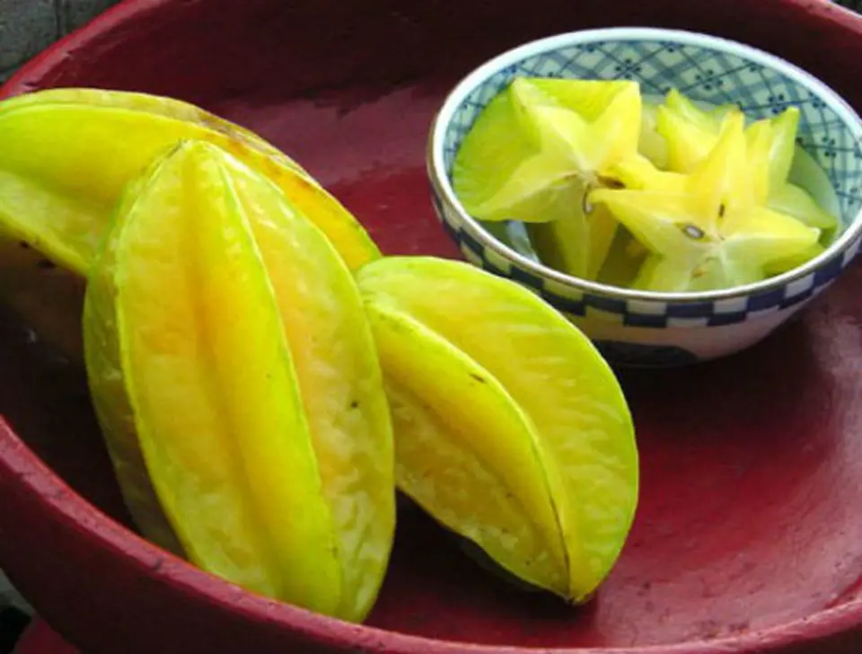 Công thức nấu canh cá rô đồng ngon miễn chê