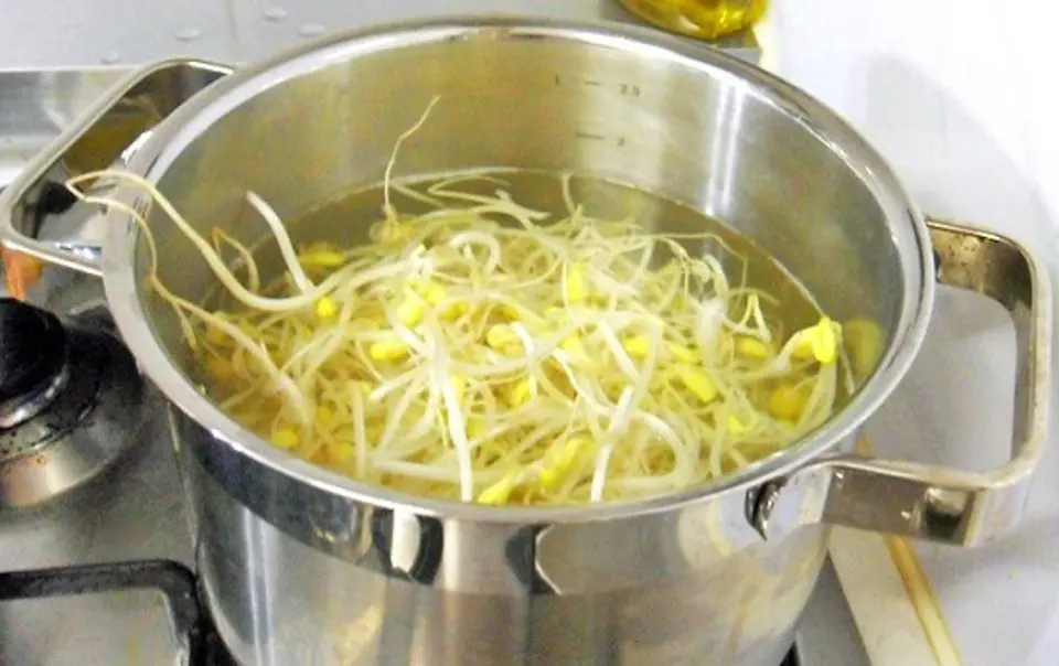 Cách làm canh giá đỗ thanh mát cho ngày Tết