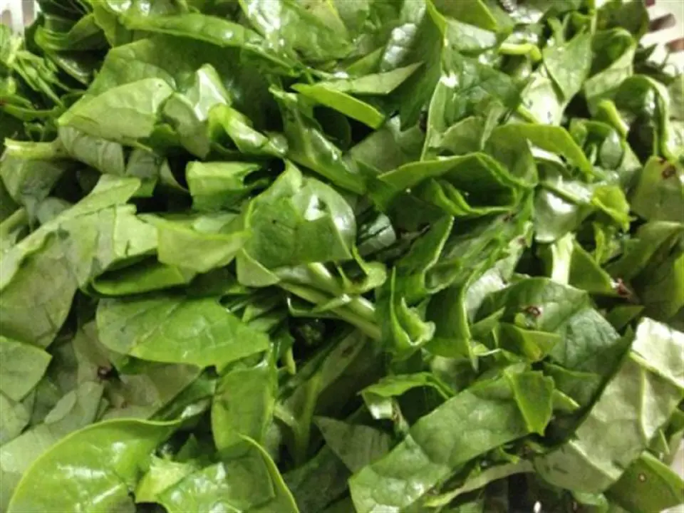 Cách nấu canh ngao mồng tơi ngon hấp dẫn