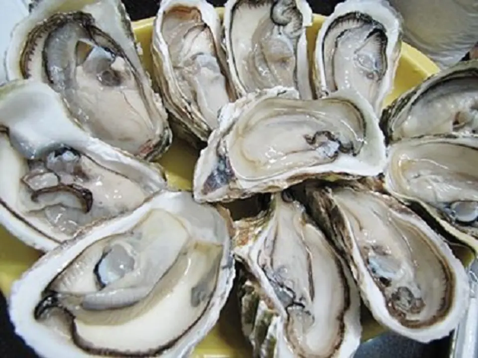 Cách làm hàu nướng phô mai ngon tuyệt