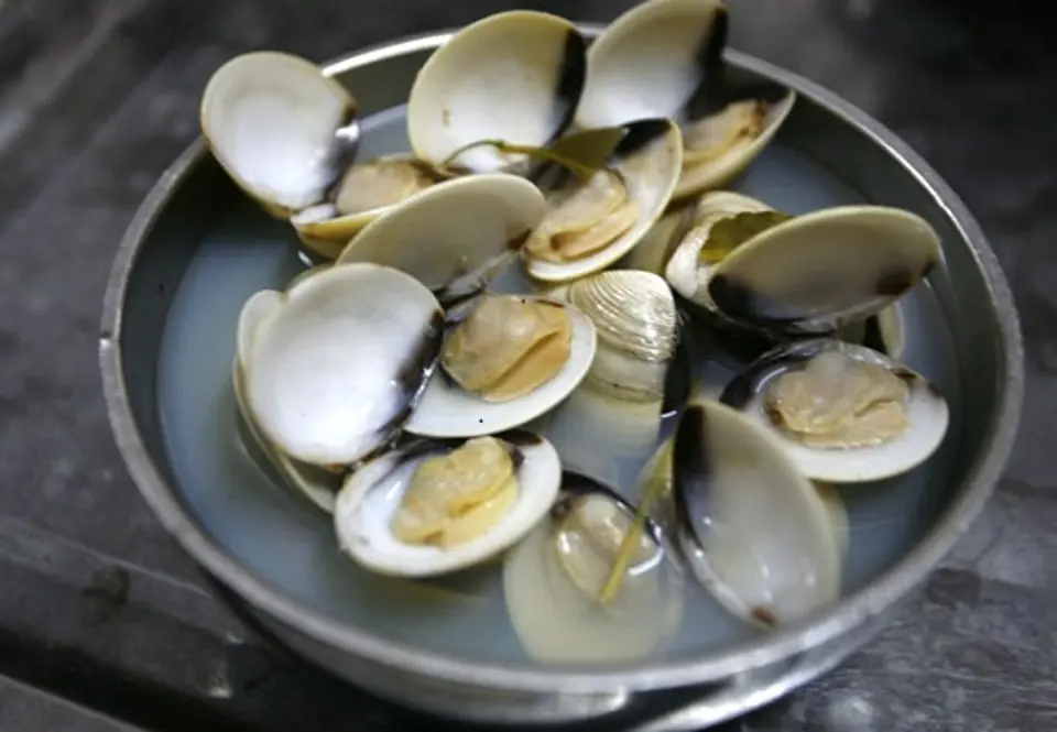 Cách nấu cháo ngao thơm ngon bổ dưỡng
