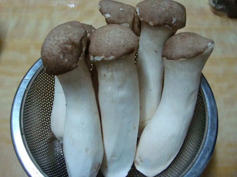 Cách làm thịt bò băm bọc nấm lạ miệng thơm ngon